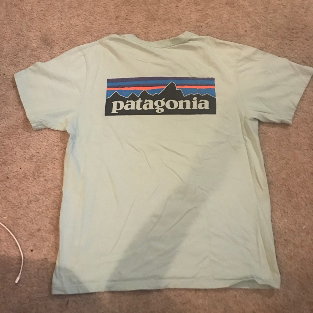 Patagonia Logo Tee